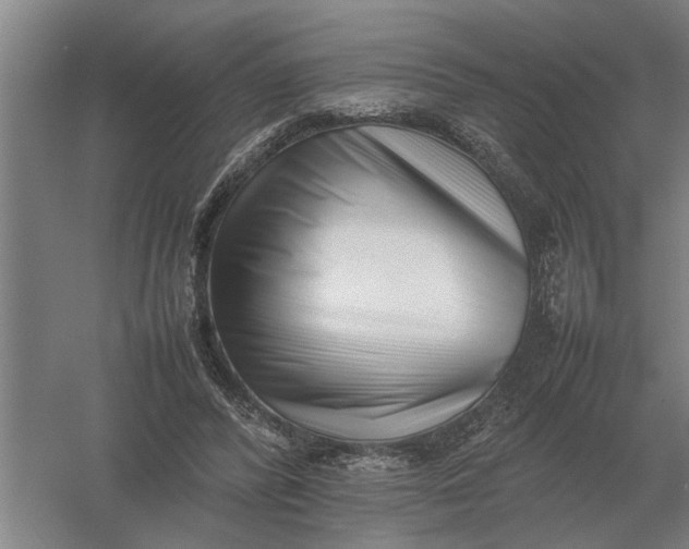 X0000054430400200508192129