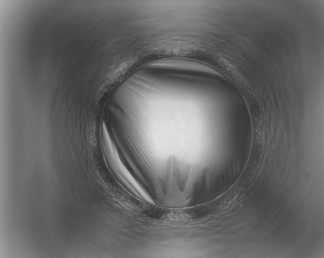 X0000054430403200508192129