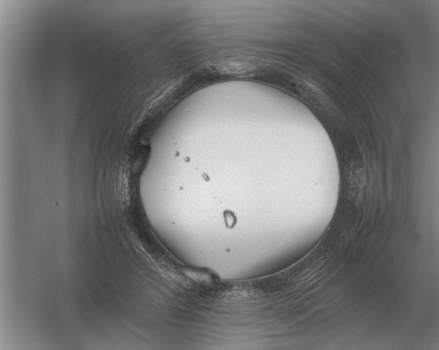 X0000054430404200508192129