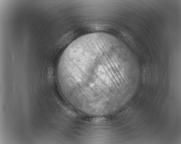 X0000054430410200508192129