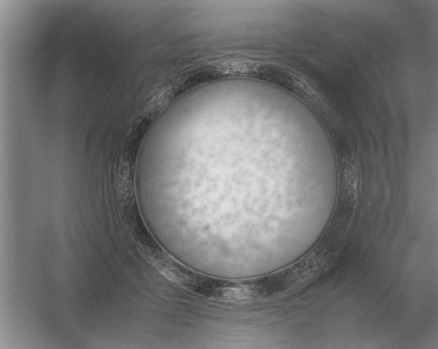 X0000054430411200508192129