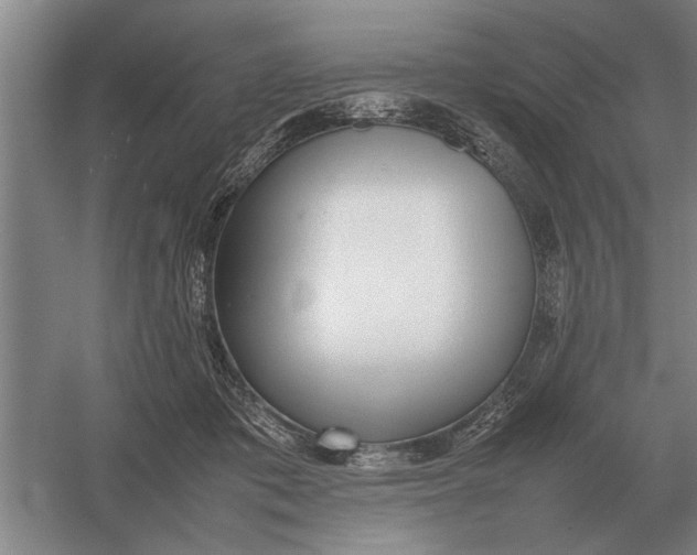 X0000054430413200508192129