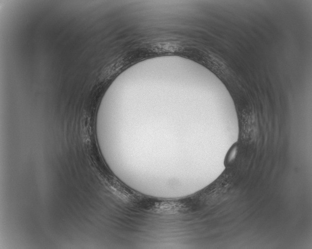 X0000054430414200508192129