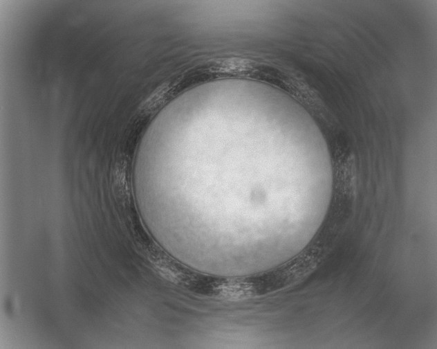 X0000054430415200508192129