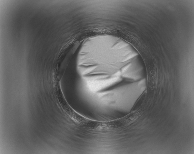 X0000054430416200508192129