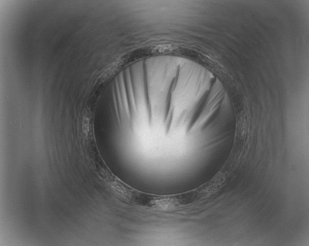 X0000054430417200508192129