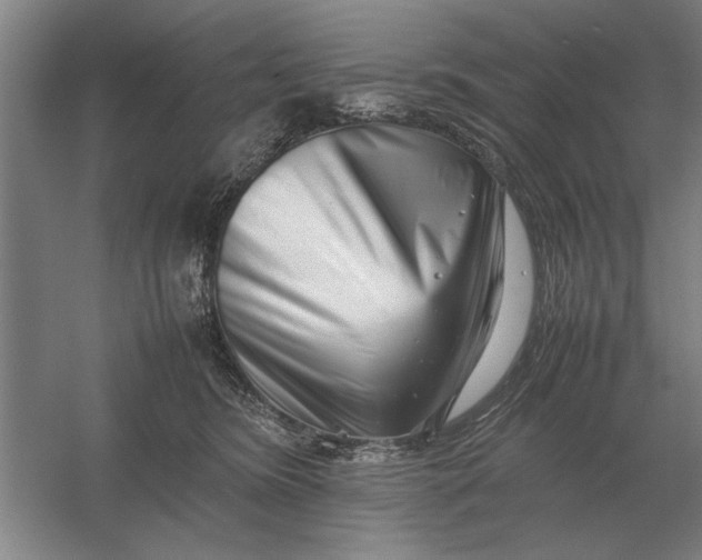 X0000054430420200508192129