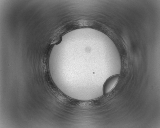 X0000054430422200508192129