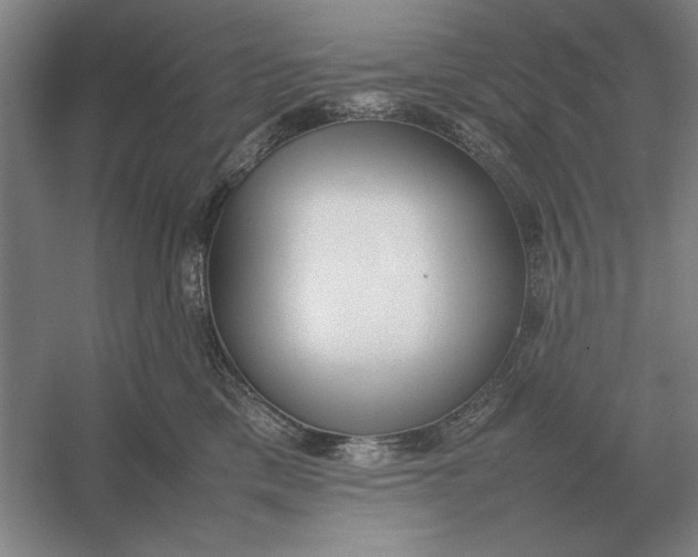 X0000054430425200508192128