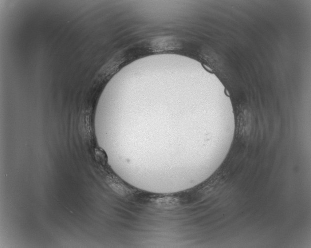 X0000054430426200508192128