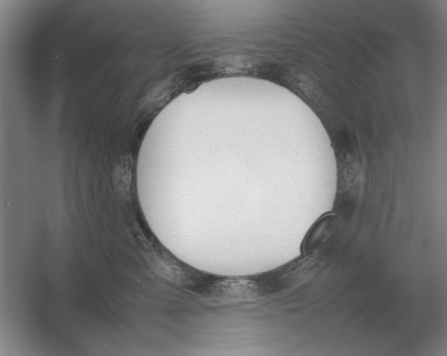 X0000054430427200508192128