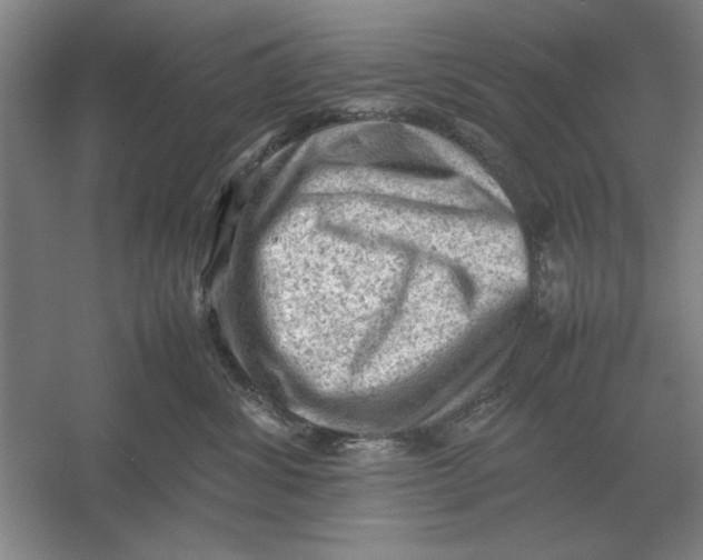 X0000054430428200508192128