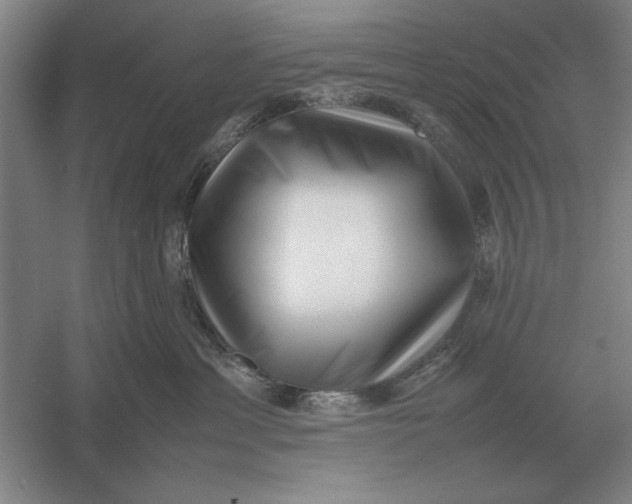 X0000054430429200508192128