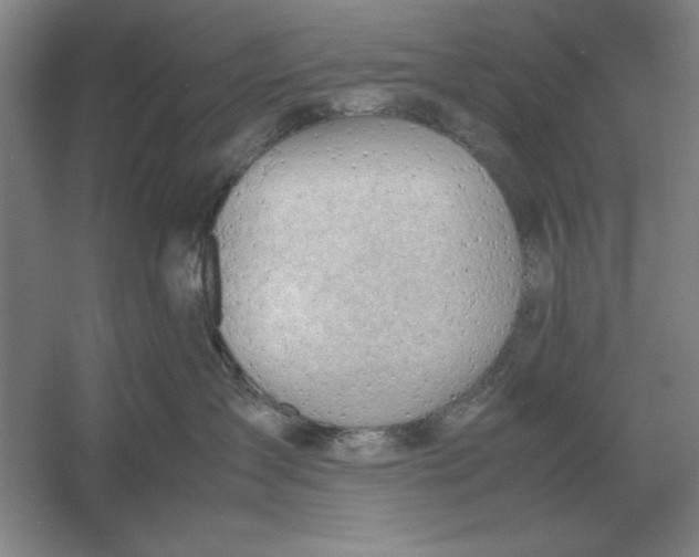 X0000054430431200508192128