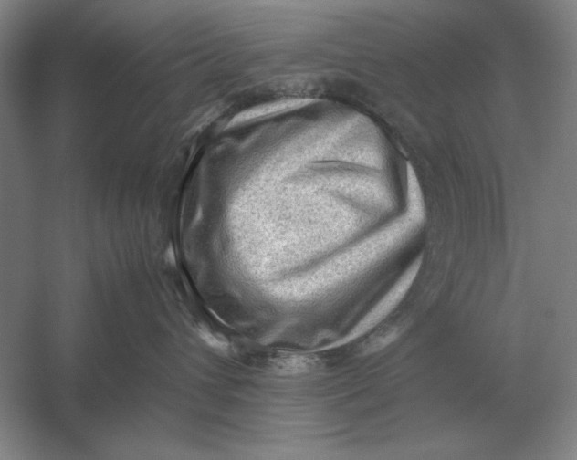 X0000054430432200508192128