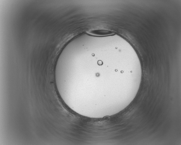 X0000054430433200508192128