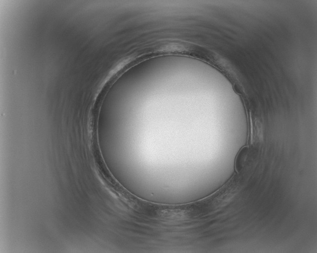 X0000054430435200508192128