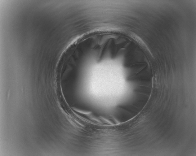 X0000054430436200508192128