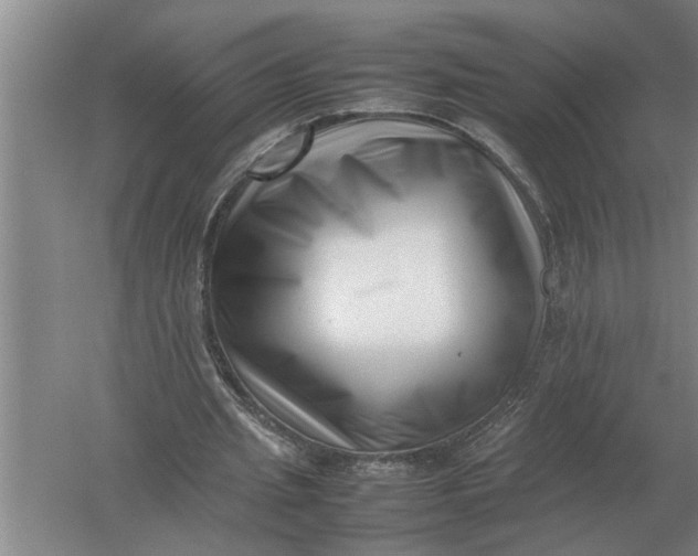 X0000054430437200508192128