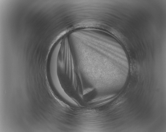 X0000054430438200508192128