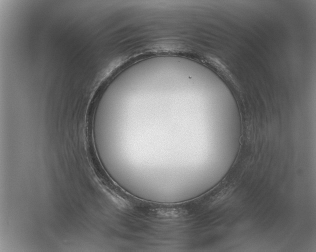 X0000054430439200508192128