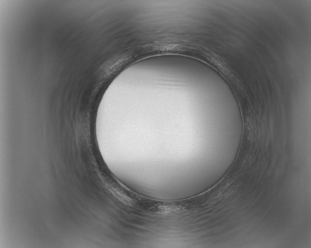 X0000054430442200508192128