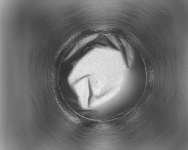 X0000054430444200508192128