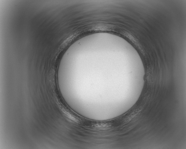 X0000054430445200508192128