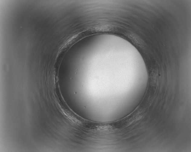 X0000054430446200508192128