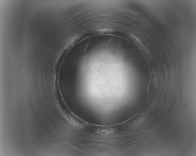 X0000054430447200508192128