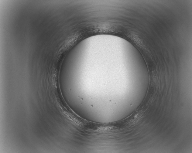 X0000054430450200508192128