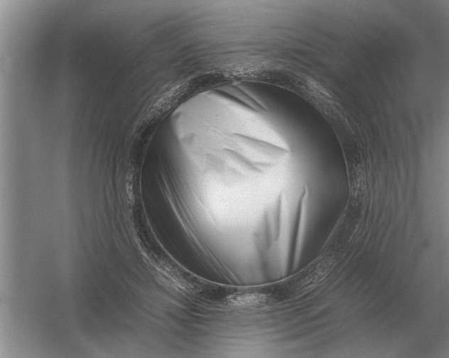 X0000054430452200508192128