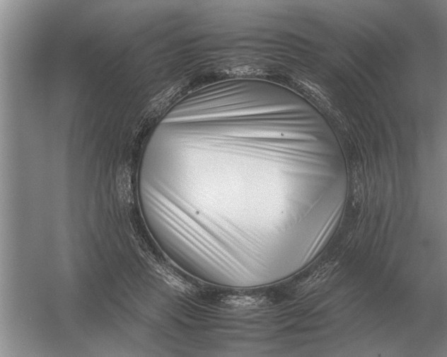 X0000054430453200508192128