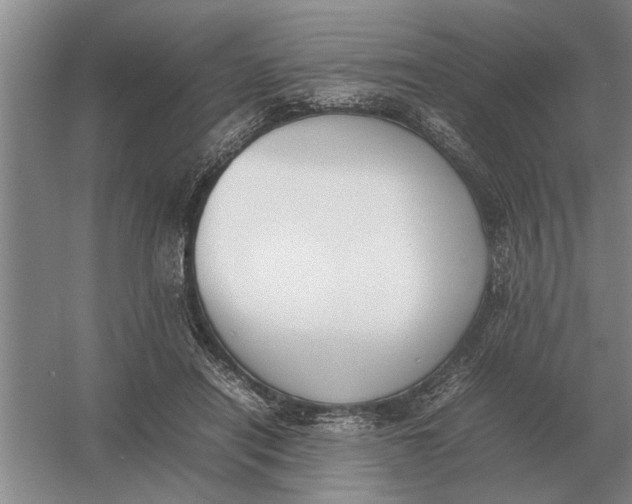 X0000054430454200508192128