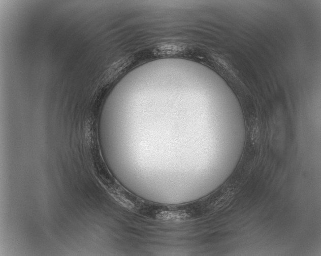 X0000054430455200508192128