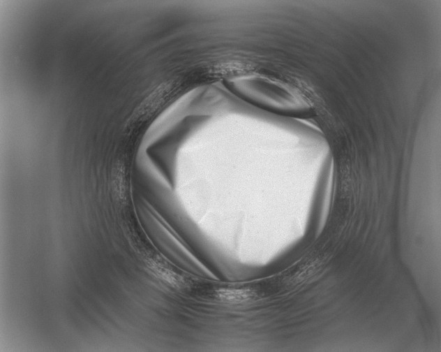 X0000054430457200508192128