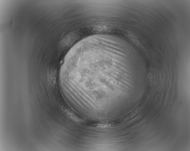 X0000054430458200508192128