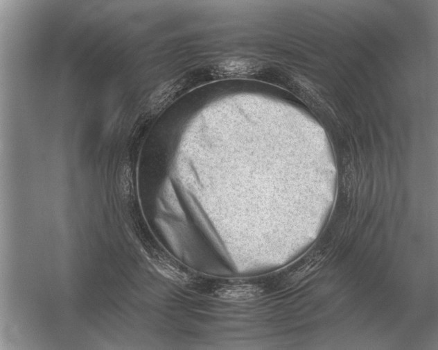 X0000054430459200508192128