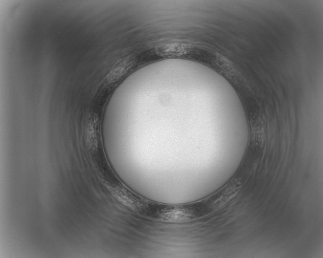 X0000054430460200508192128