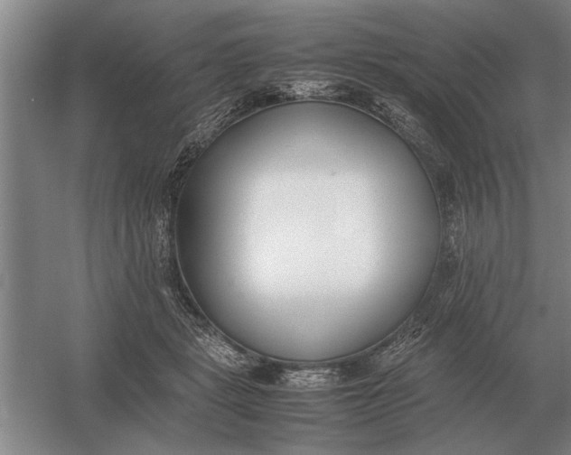 X0000054430461200508192128