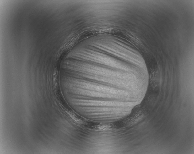 X0000054430462200508192128