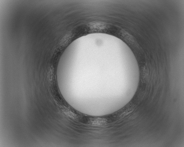 X0000054430463200508192128