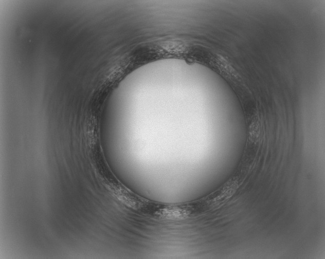 X0000054430464200508192128