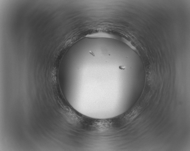 X0000054430466200508192128