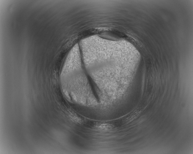 X0000054430467200508192128