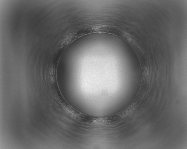 X0000054430470200508192128