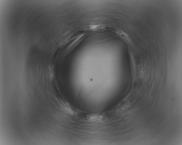 X0000054430471200508192128