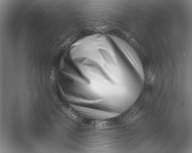 X0000054430472200508192128