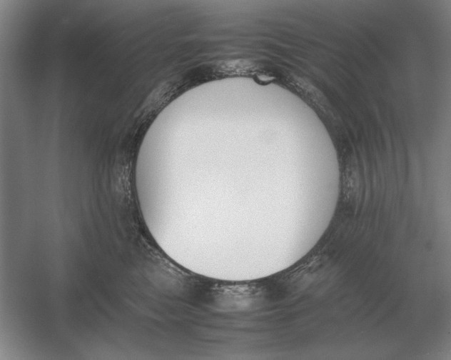 X0000054430473200508192128