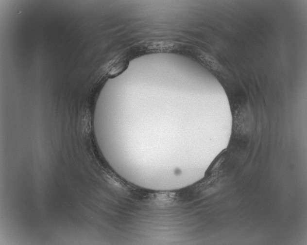 X0000054430474200508192128